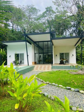 Modern family friendly jungle home, monkeys, beach